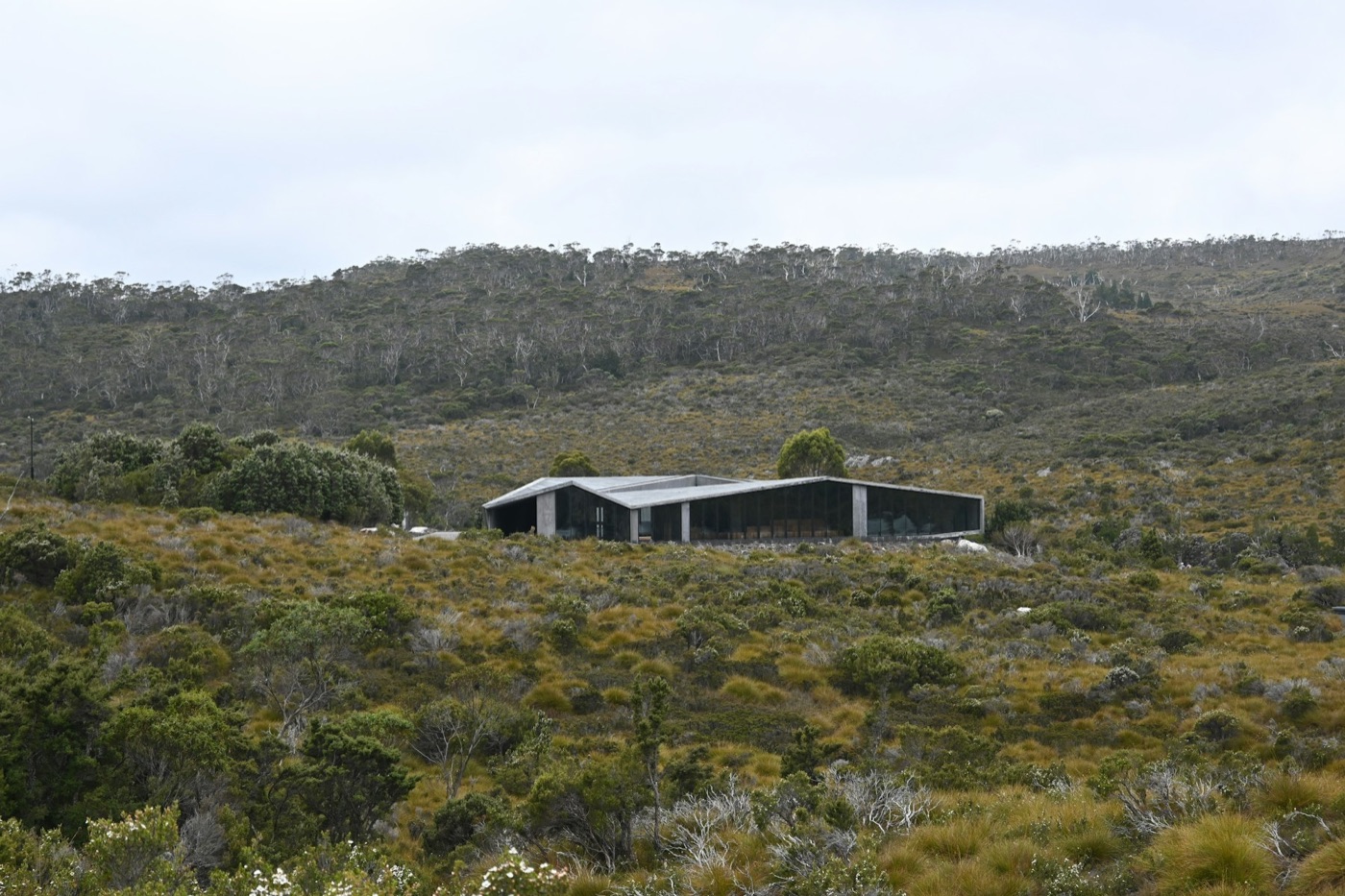Ridgeview Pavilion — modern glass pavilion set in dense bushland